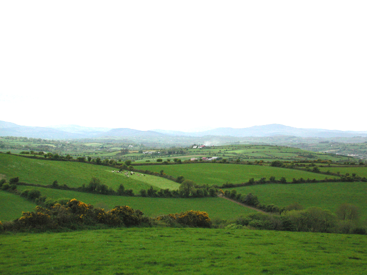 Boulteen D5.jpg 272.1K